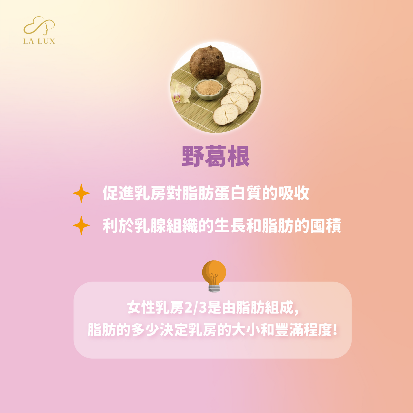 E BomB 美胸果凍 30包包裝 x6 送 30包包裝 x1